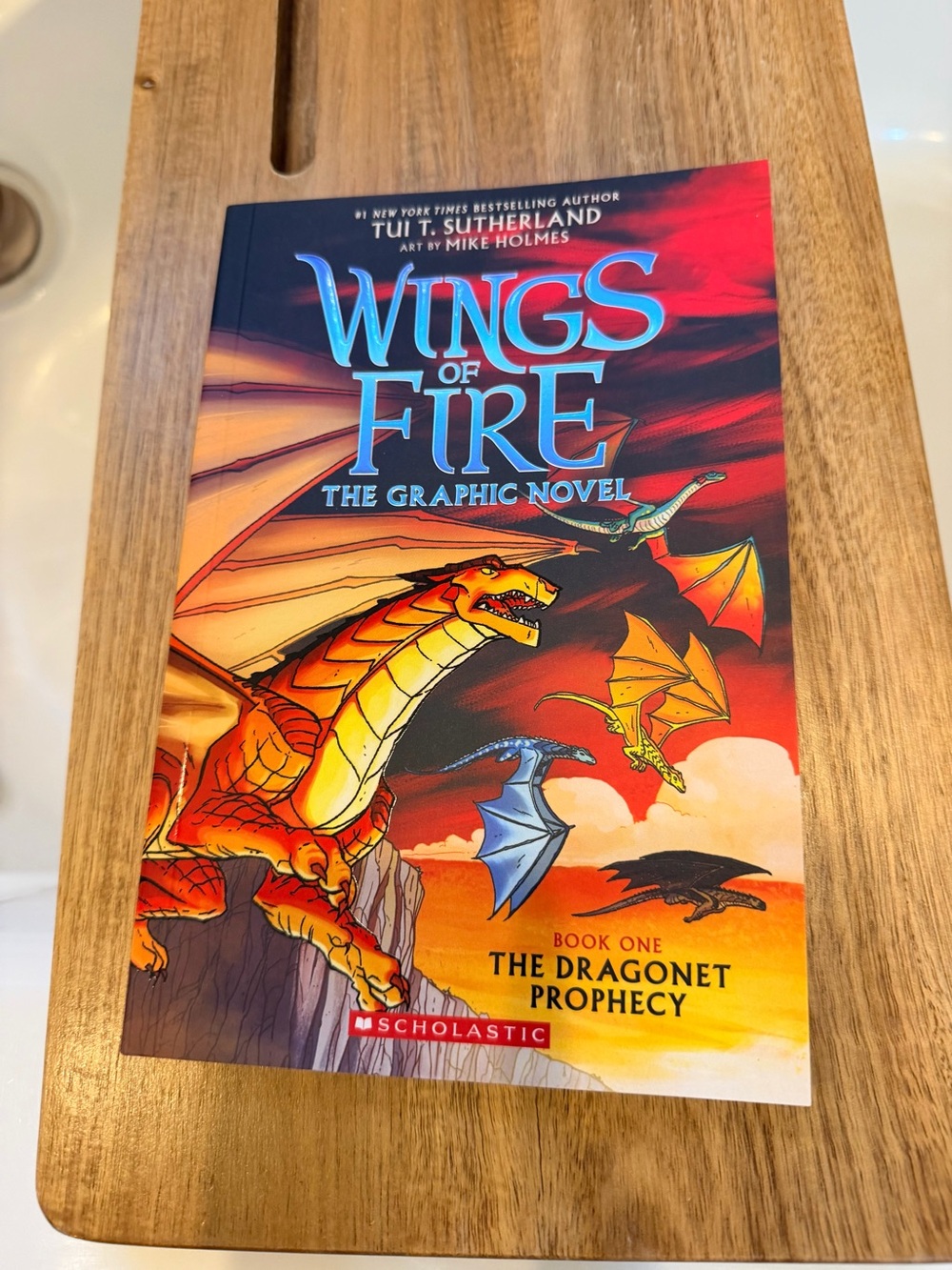 Wings of Fire Graphic Novel - book 1 the dragnet prophecy